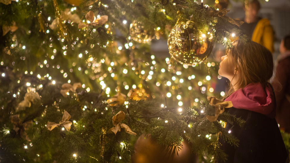 Christmas tree - Shopping in der Thuner Innenstadt