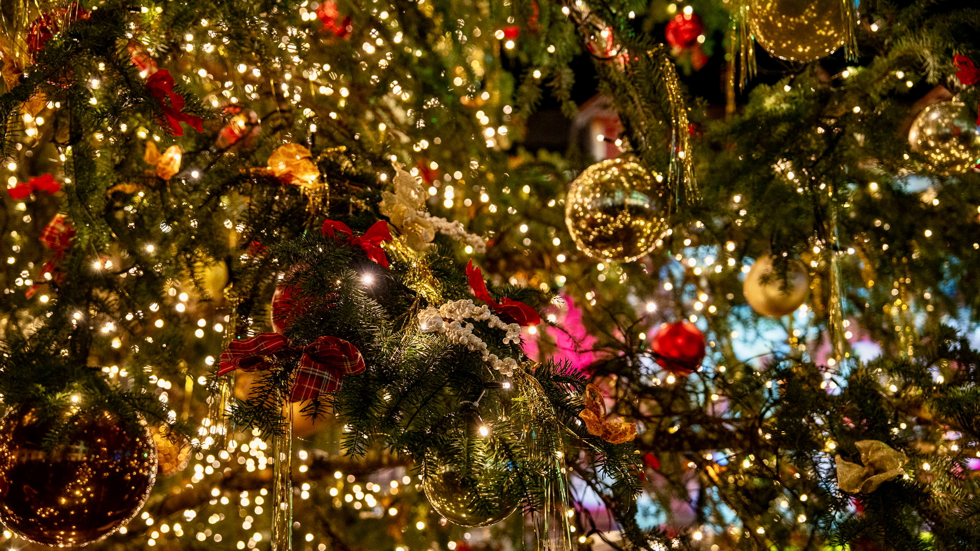 Adventsverlosung 2025 - Shopping in der Thuner Innenstadt